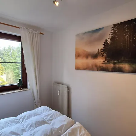 Wild At Harz Appartement Braunlage