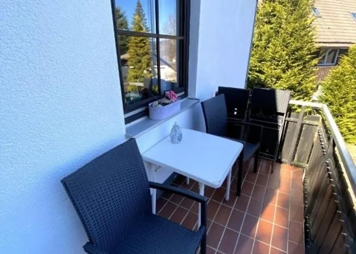 Wild At Harz Браунлаге